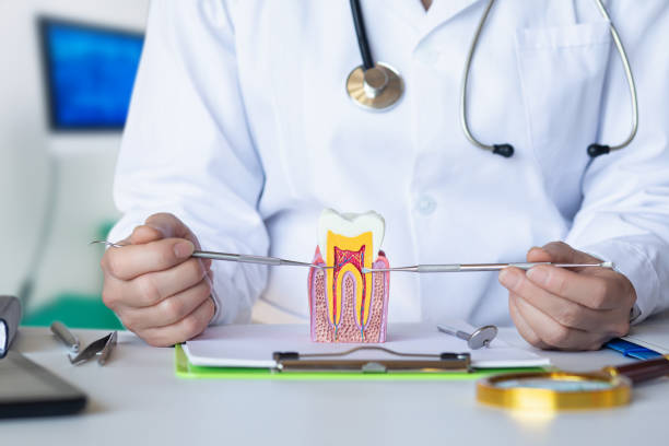 Best Dentist for Tooth Abscess  in Adrian, MI